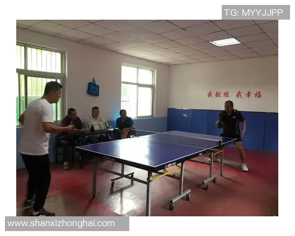 陈娜独家分享乒乓球技巧与心得助你提升球技的全方位指南