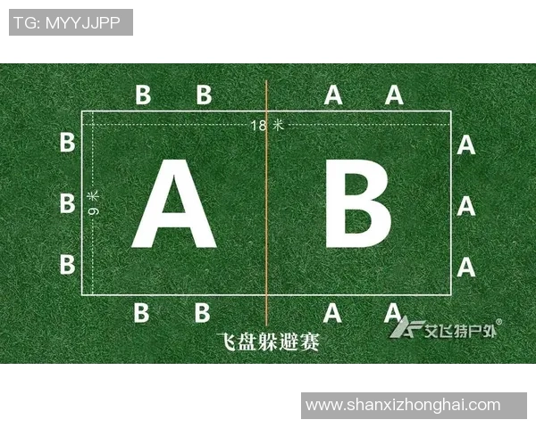飞盘战术揭秘：南京飞盘队的防守与反击策略深度解析